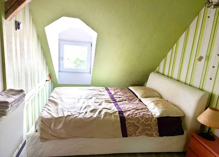 Goscinne Gniazdo شقة *