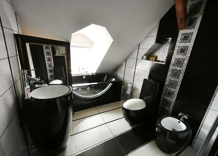 Goscinne Gniazdo Апартаменты Гливице